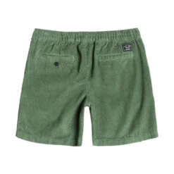 DARK SEAS GO TO CORD SHORT (EX) 13 DARK SEAS GO TO CORD SHORT (EX) -Ocean Outfit Shop 315000025 GRN 2 47450.1690121605