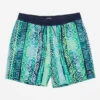 BILLABONG SUNDAYS LAYBACK 17" BOARDSHORT (ABYJV00103)