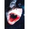 LEUS GREAT WHITE TOWEL (EX) -Ocean Outfit Shop leus beachtowel great white 75894.1700415155