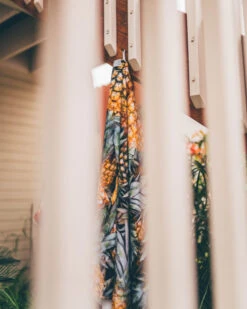 LEUS PINEAPPLE PARADISE TOWEL (EX) -Ocean Outfit Shop leus beachtowel pineapple paradise hanging 04967.1700415178