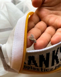 LEUS ECO WASH BAG -Ocean Outfit Shop leus washbag lint 11411.1673632261